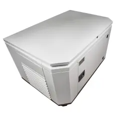 FUBAG BS 3300 A ES в супертихом зимнем кожухе 1400SS RAL 7035 - бензиновый генератор